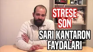 Zihinsel ve Bedensel Rahatlama / Sarı Kantaron Çayının Faydaları Nelerdir