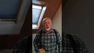 Вдоль по питерской
