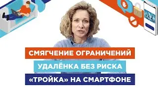 Смягчение ограничений / Удаленка без риска / 