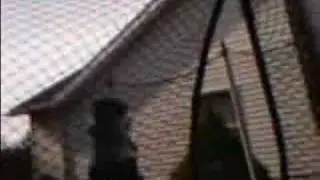 stupid sutff!