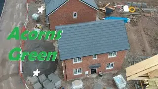 Acorns Green