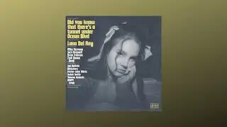 Lana Del Rey - Let The Light In (Studio Acapella)