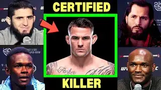 What UFC Fighters 