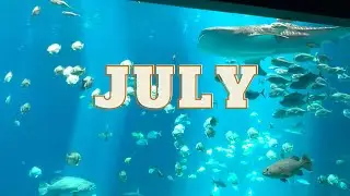 July Recap 2022 | The Monthly Series