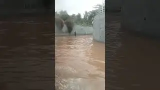 Underpass bridge full with water. 