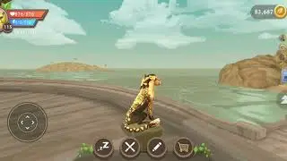 Wildcraft: tour of my new den! (beach)