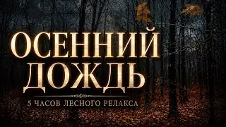 5 Часов Шума Прохладного Осеннего Дождя в Лесу — Звуки Природы для Сна, Релаксации и Медитации