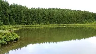 Lago do Canario - San Miguel - AZORES