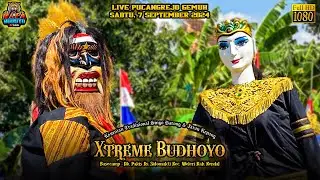 Dawangan Ngamuk Xtreme Budhoyo Live Pucangrejo Gemuh 7/9/2024 Terbaru