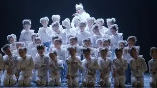 Хореографический спектакль 