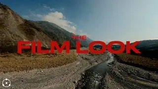 Digital → Film?! How To Get the Film Look (Dehancer)