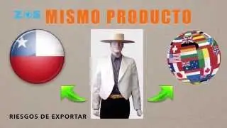 ¿Por qué es importante saber exportar e importar en el sur de Chile? www.zoschile.com