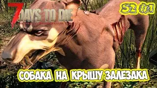 7 Days to Die Зомби собака новый сезон альфа 20.6