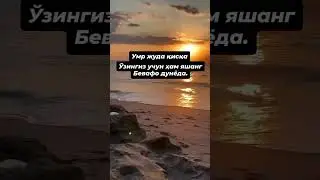 #rek #uzb #jannatga #oshiqlar #obuna #bolin хулоса узиздан достларим сог болилар