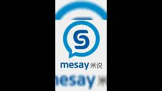 MESAY 2.0 Testimonial