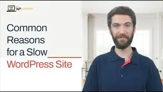 Common Reasons for a Slow WordPress Site | Call +1-888-818-9916