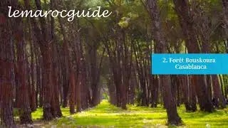 Forêts pour se Promener au Maroc | غابات المغرب