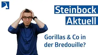 Steinbock Aktuell - Gorillas & Co. in Bedrängnis??