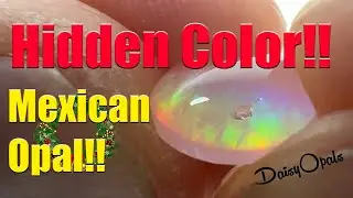 Happy Holidays!! I cut some Seemingly clear Mexican Opal. Will it show color? (yep)