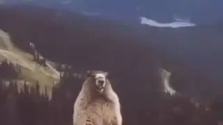 Нам конец!😂😂😂😂