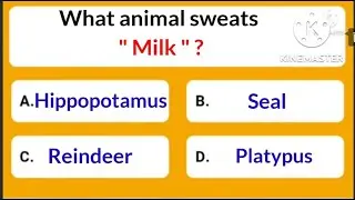 @intelligenceonline7050 .. Which animal sweats 