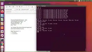Linux Basics | Unit 4 | Linux Directory Structure | Part 2 of 2