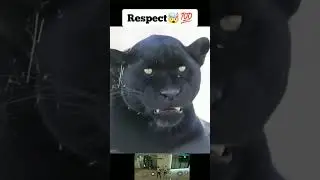 respect🔥 #viral