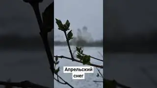 Снежок в апреле