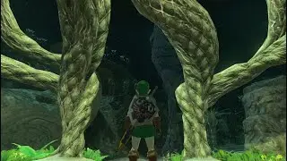 Legend of Zelda ToTK | Finishing Amber Farming