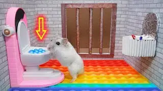 🐹Hamster Escapes the Pool Maze with Pop It 🐹🌈 for pets in real life