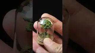 Tiny tree 🌳 😊 