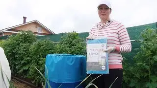 Не выбрасывайте старую садовую бочку для полива! Посмотрите  это видео  и используйте дальше.