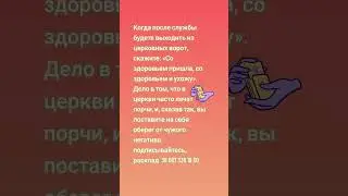 16 августа 2024 г.