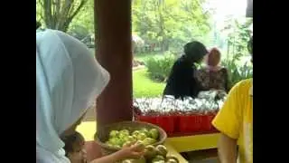 mekarsari1.mp4