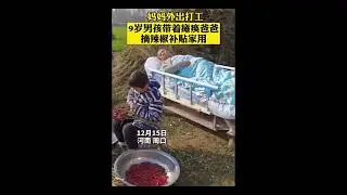 这就是成年人的无奈吧