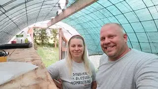 Zone 4 Northern Climate Garden Tour