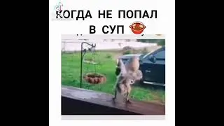 Когда не попал в суп 