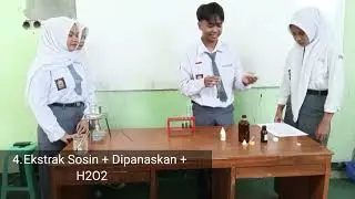 Praktikum Biologi (ENZIM KATALASE) kelompok 3(daun sawi) XII IPA 7 2024/2025