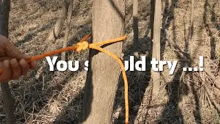 You should try this....! #매듭 #knot