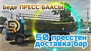БЕДЕ ПРЕСС БААСЫ/ ЖАНЫ  Түшүм / доставка 50 пресстен