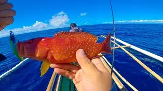 Pulang Lapu-Lupu Sarap Nito | Selinog Island Fishing Adventure