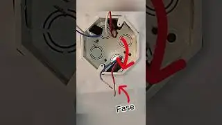 Como conectar varias luminarias a un solo interruptor #electricidad #instalacioneselectricas
