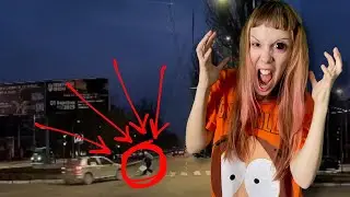 I was hit by a car AGAIN...😿 my sunny everyday life🥰