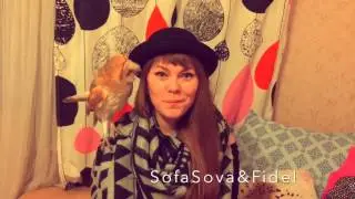 Стыдно, но довольна! Жена пришла из магазина! SofaSova and Fidel! Сипуха! Сова!