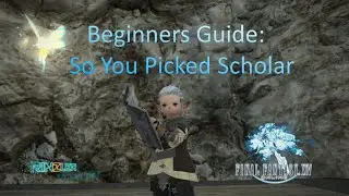 So you picked Scholar : FF14 Beginners Guide