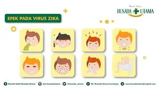 Efek Virus Zika Pada Penderita - RS Husada Utama Surabaya