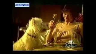 ΔΙΑΦΗΜΙΣΗ CESAR 2004