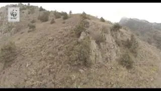 Առաջին անգամ Հայաստանում, խոշոր կաթնասունների մոնիթորինգի իրականացում անօդաչու ուղղաթիռի միջոցով