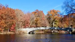 A Beautiful Autumn Nature Walk in Central Park 🍁🍂, New York City