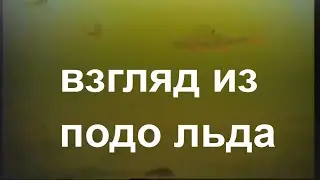 Современный карпфишинг. Властелины глубин подо льдом.